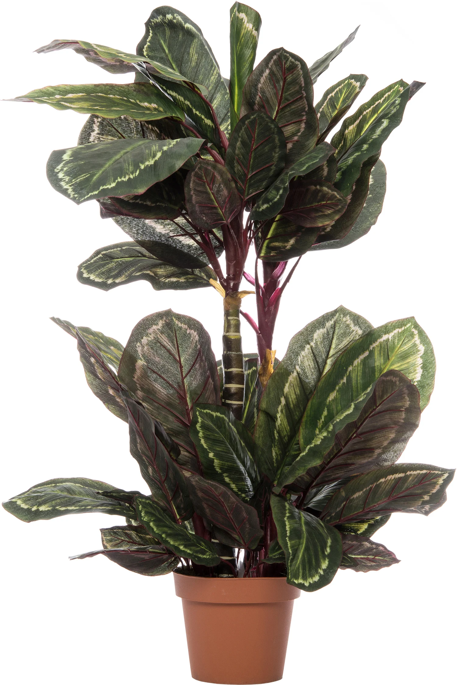 Intratuin kunstplant Calathea H 110 cm