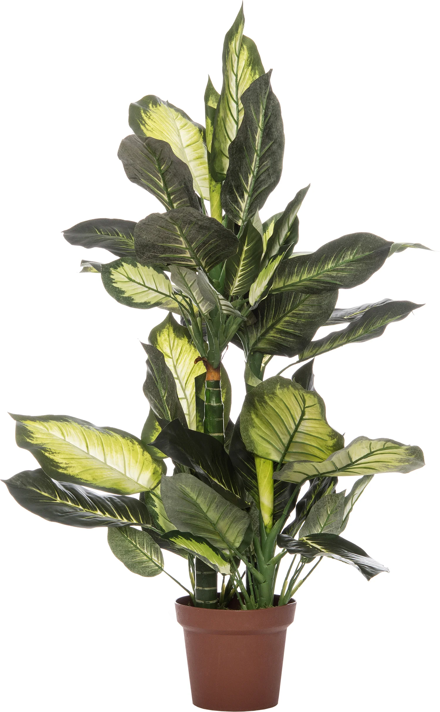 Intratuin kunstplant Dieffenbachia H 110 cm groen wit