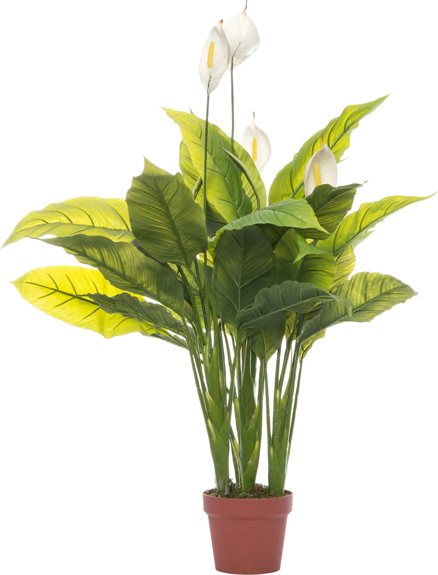Intratuin kunstplant Spathiphyllum H 108 cm wit