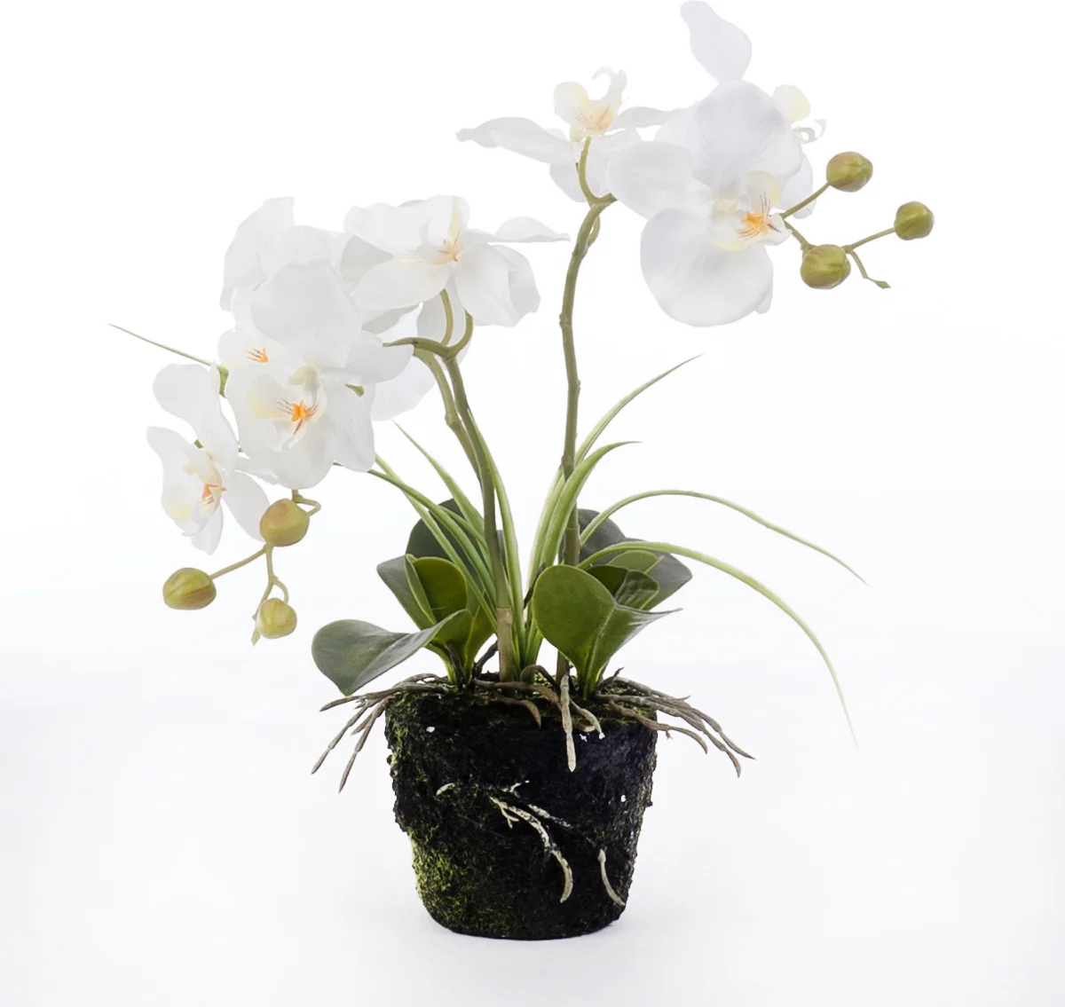 Intratuin kunstplant Vlinderorchidee H 43 cm