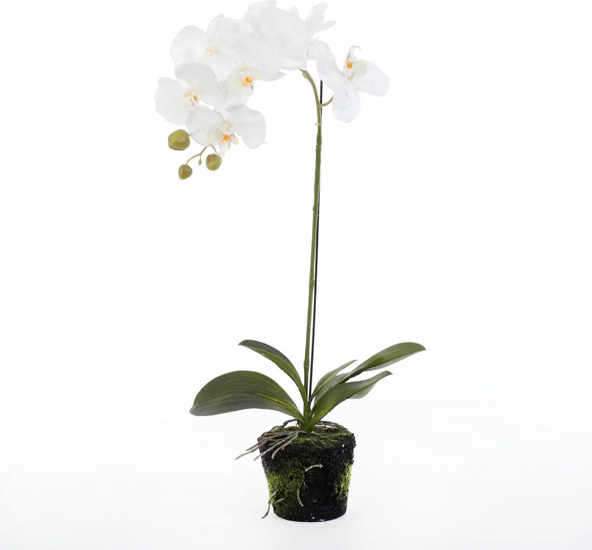 Intratuin kunstplant Vlinderorchidee D 30 H 60 cm wit