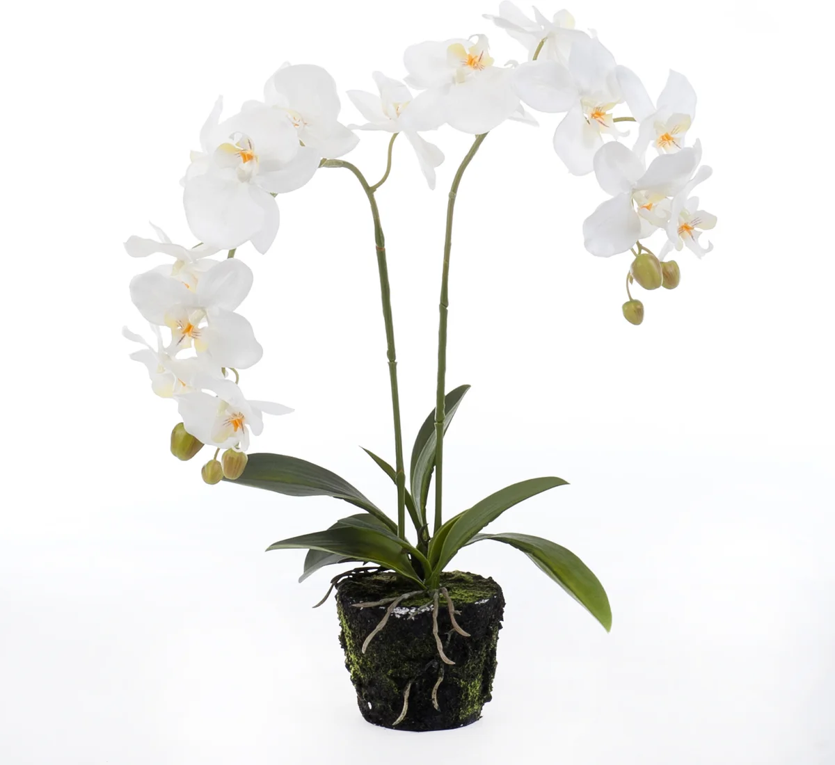 Intratuin kunstplant Vlinderorchidee D 33 H 67 cm wit