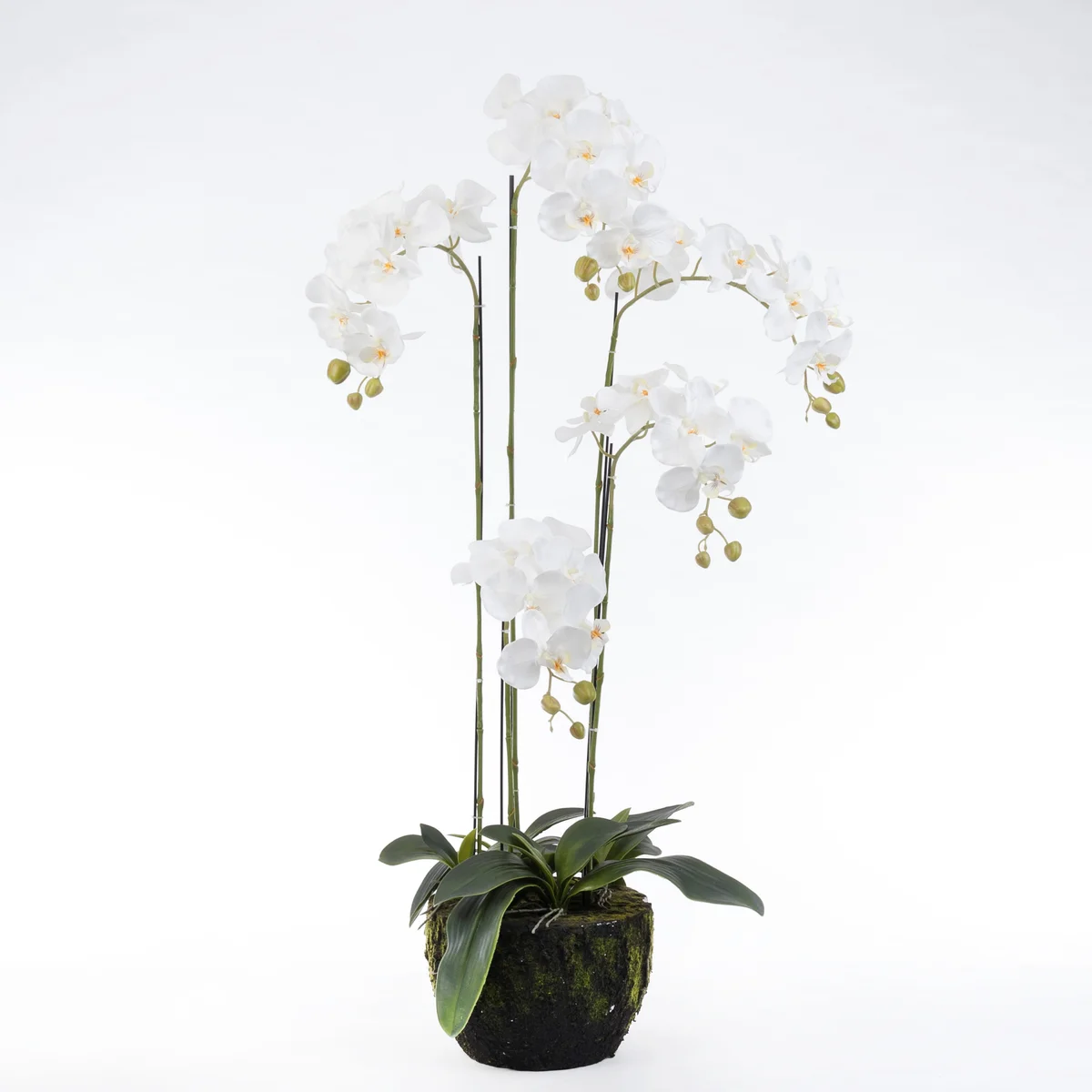 Intratuin kunstplant Vlinderorchidee 48 x 42 x 115 cm wit