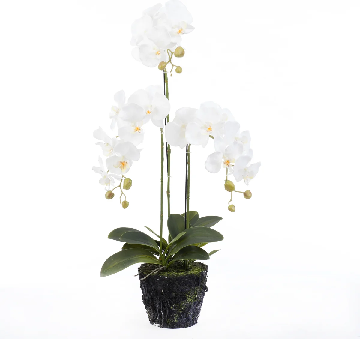 Intratuin kunstplant Vlinderorchidee 36 x 28 x 85 cm wit