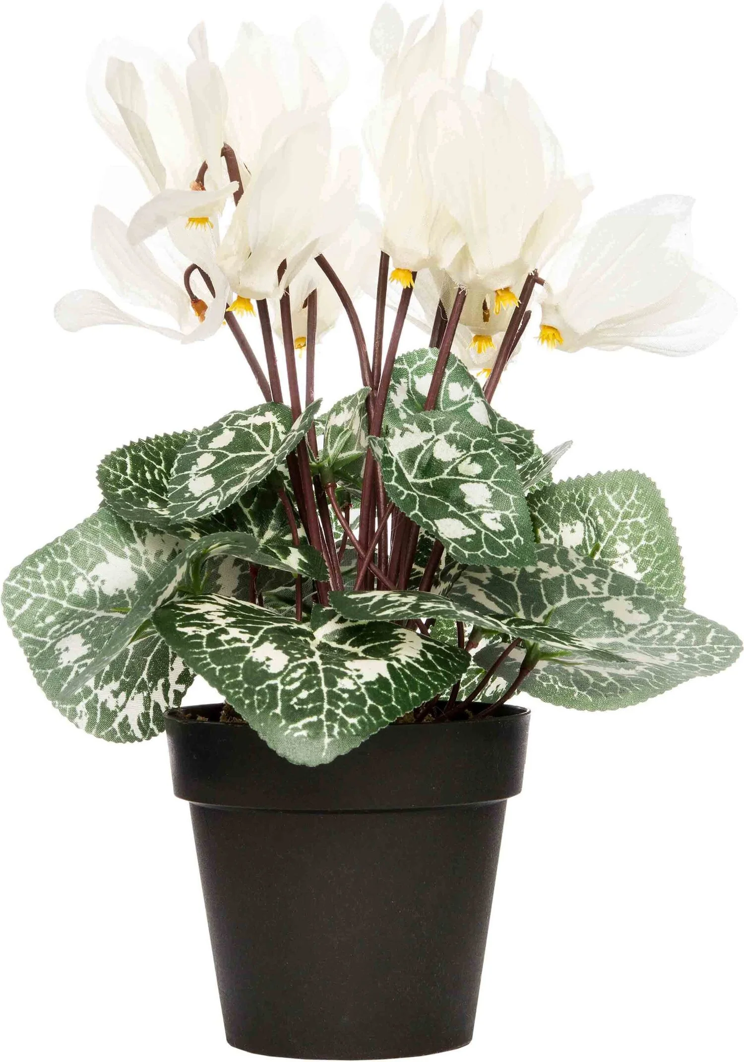 Intratuin kunstplant Cyclaam H 28 cm wit