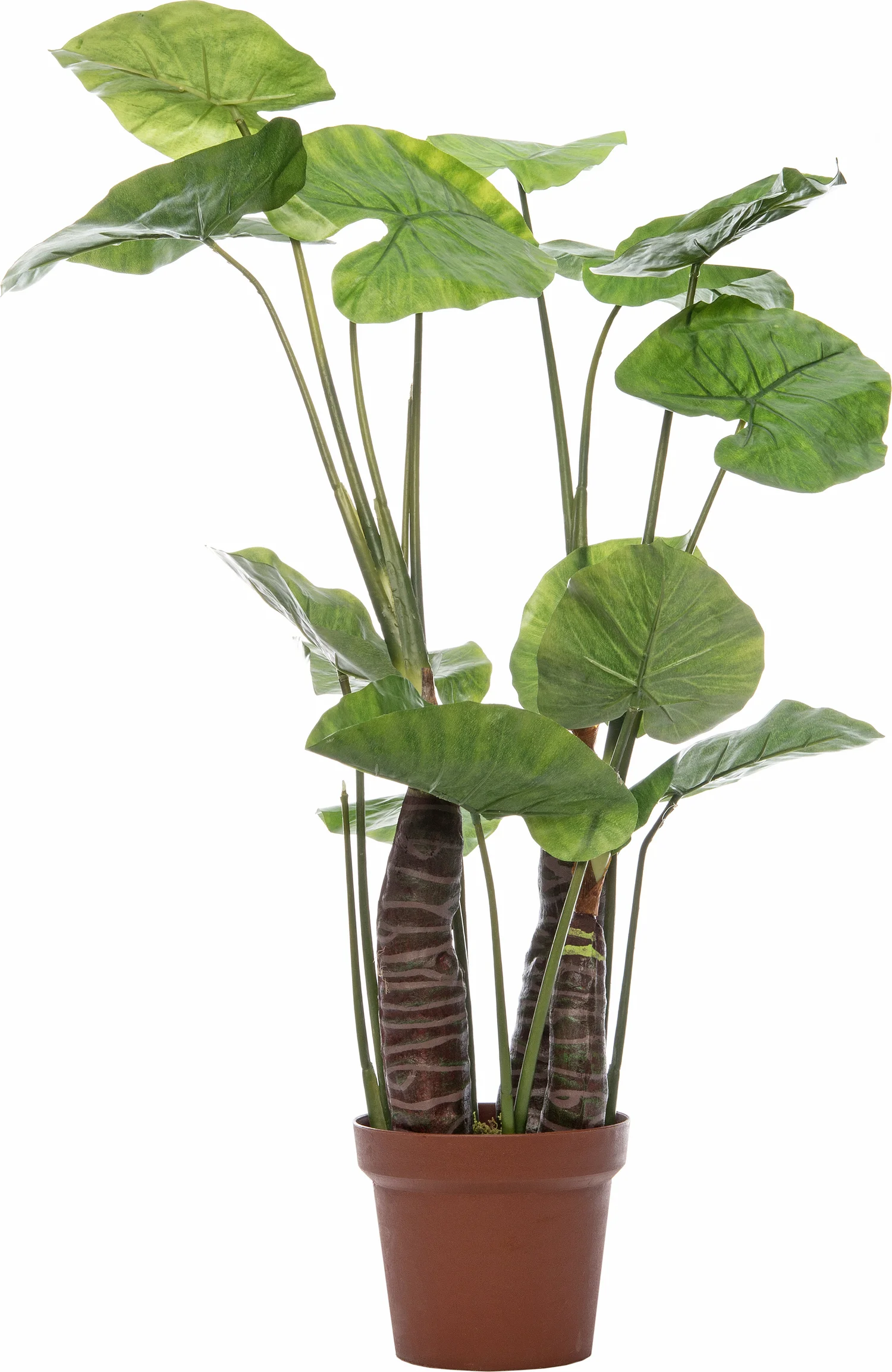Intratuin kunstplant Alocasia H 100 cm