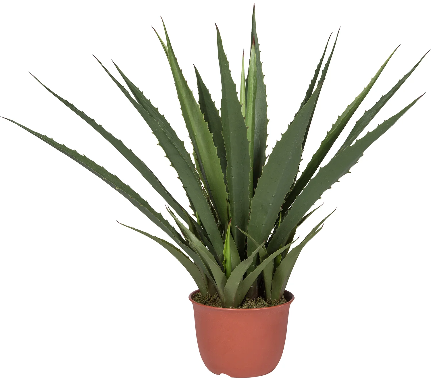 Intratuin kunstplant Agave H 107 cm