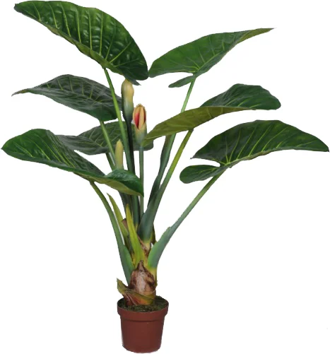 Intratuin kunstplant Alocasia op stam H 125 cm
