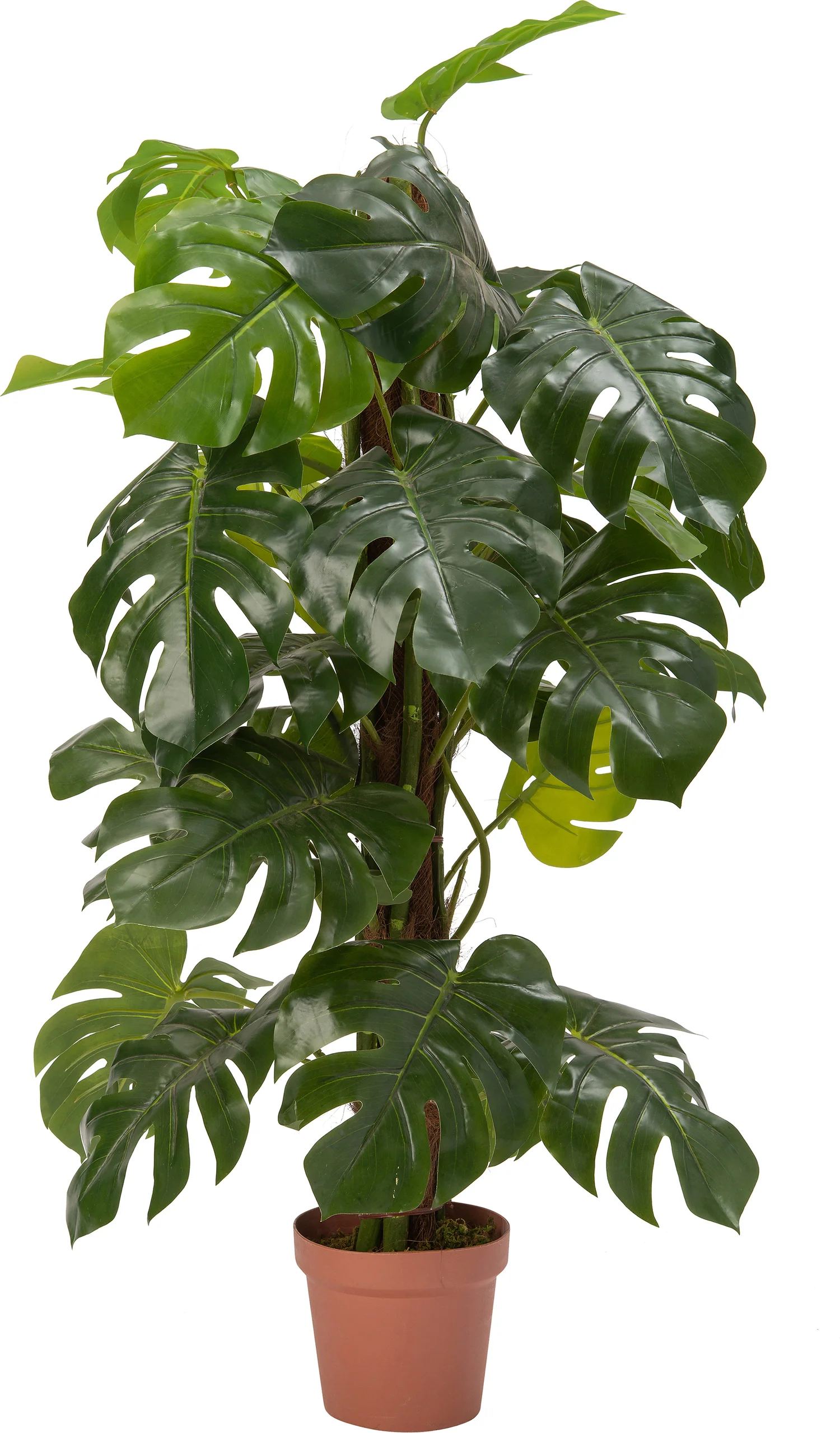 Intratuin kunstplant Monstera 55 x 55 x 140 cm