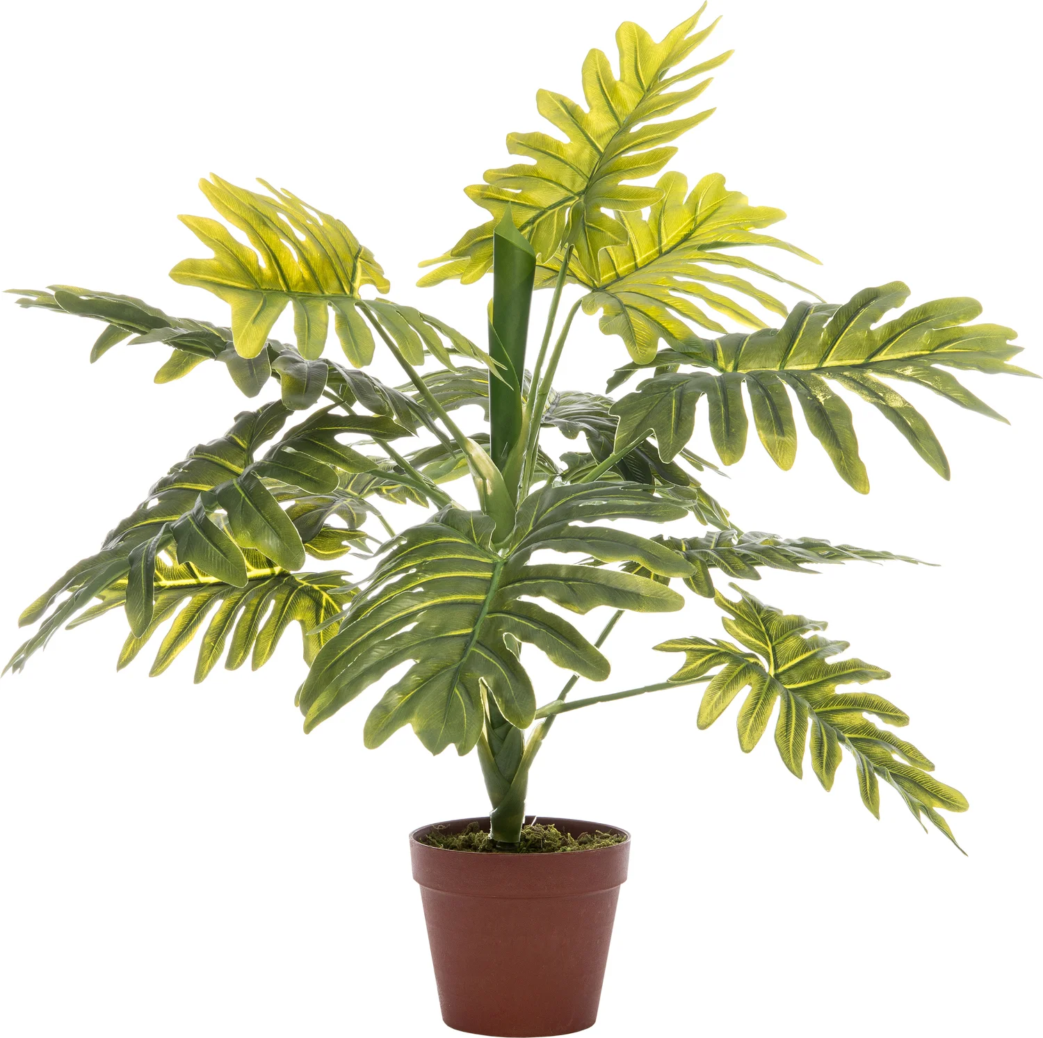 Intratuin kunstplant Philodendron H 60 cm