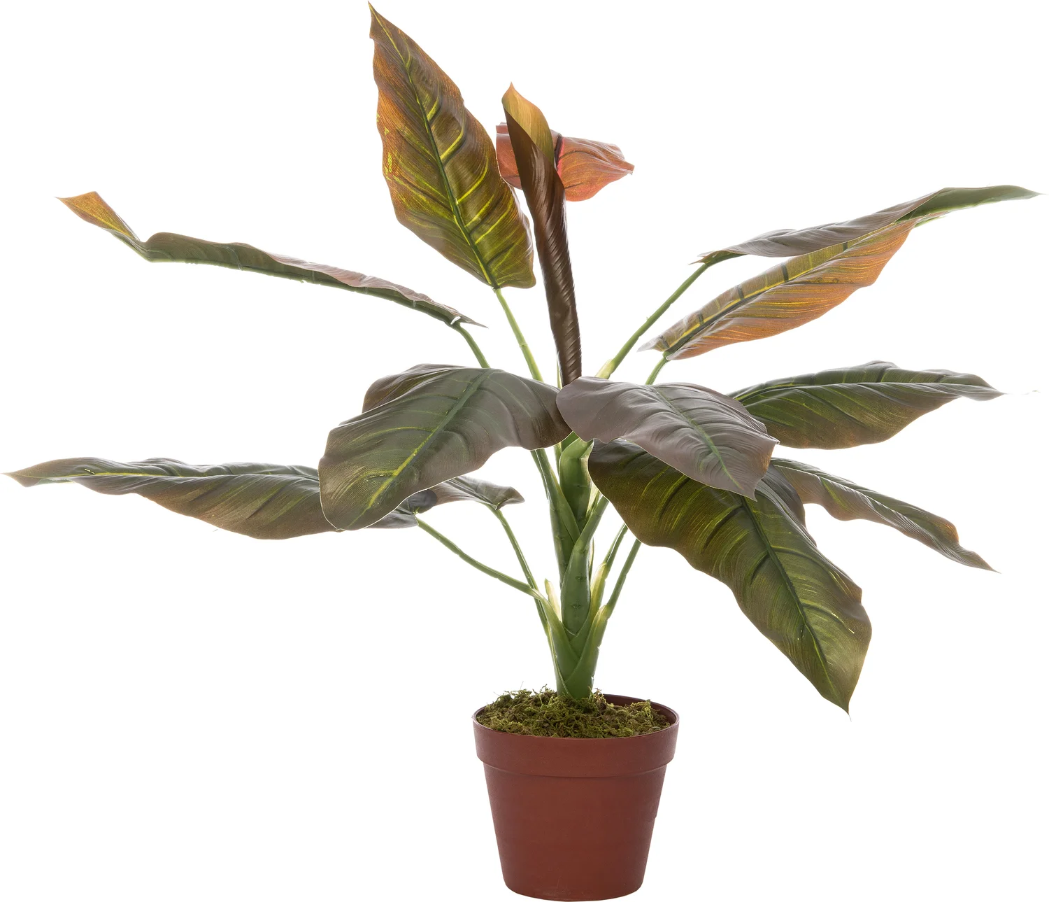 Intratuin kunstplant Philodendron H 60 cm groen rood