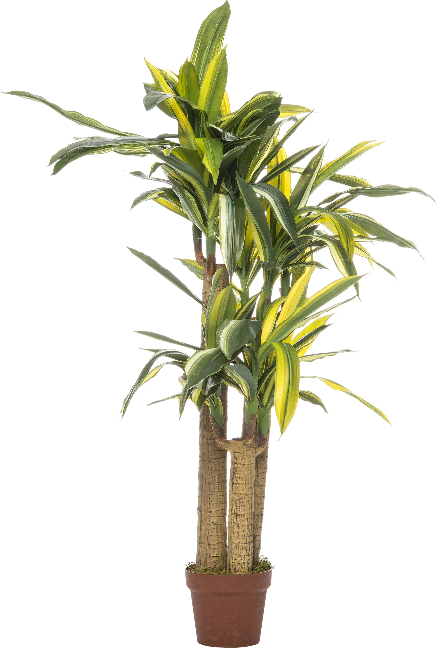 Intratuin kunstplant Dracaena op stam H 120 cm