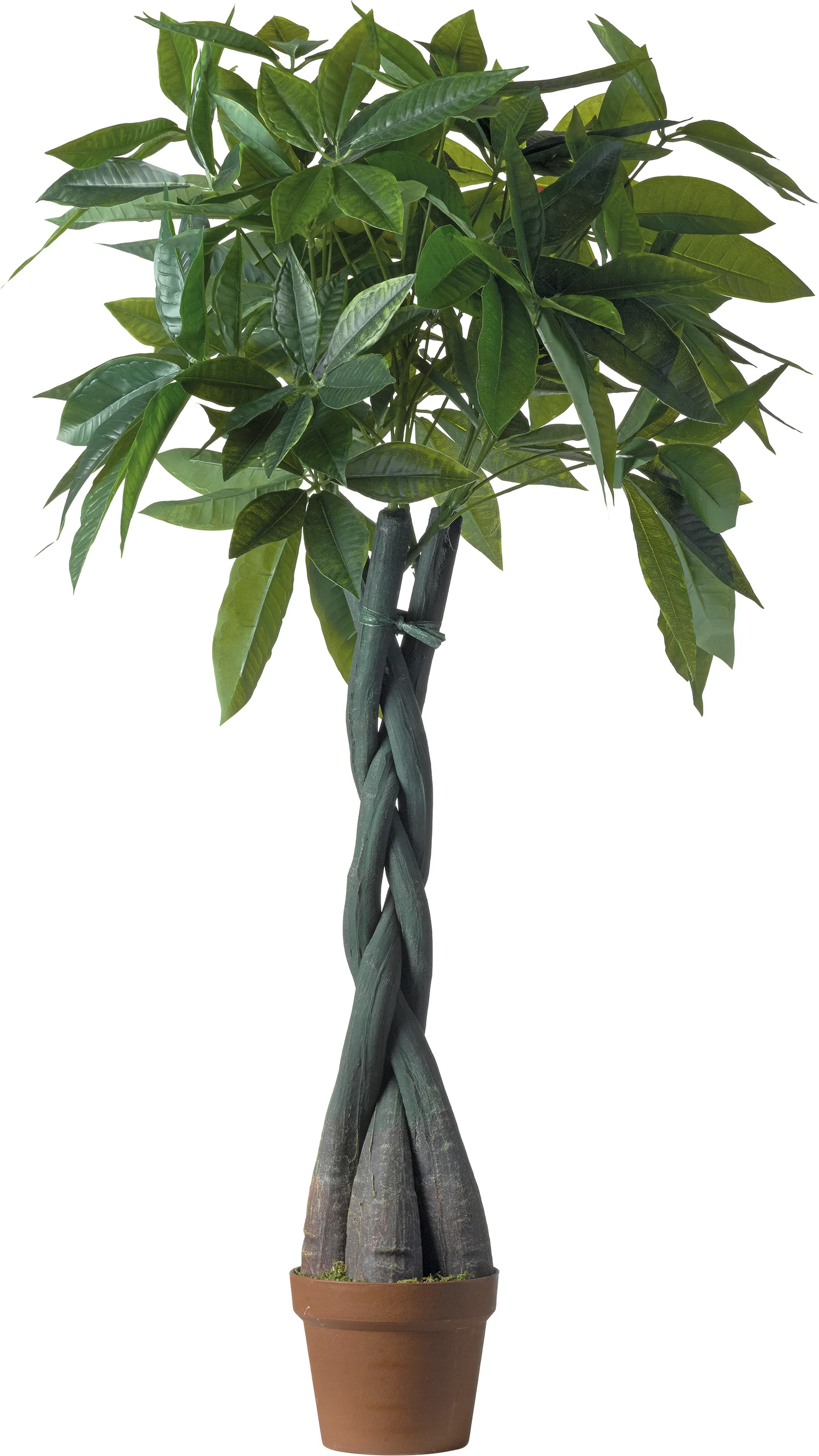 Intratuin kunstplant Pachira H 120 cm