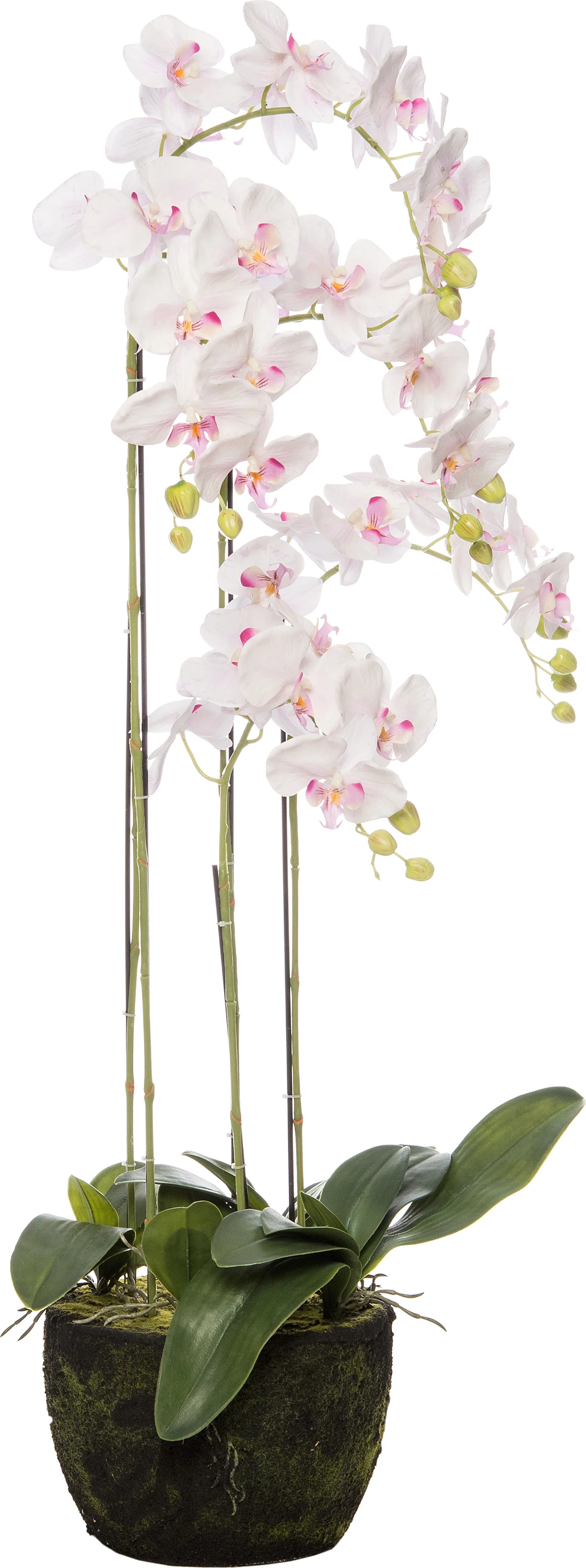 Intratuin kunstplant Vlinderorchidee D 45 H 115 cm wit / roze
