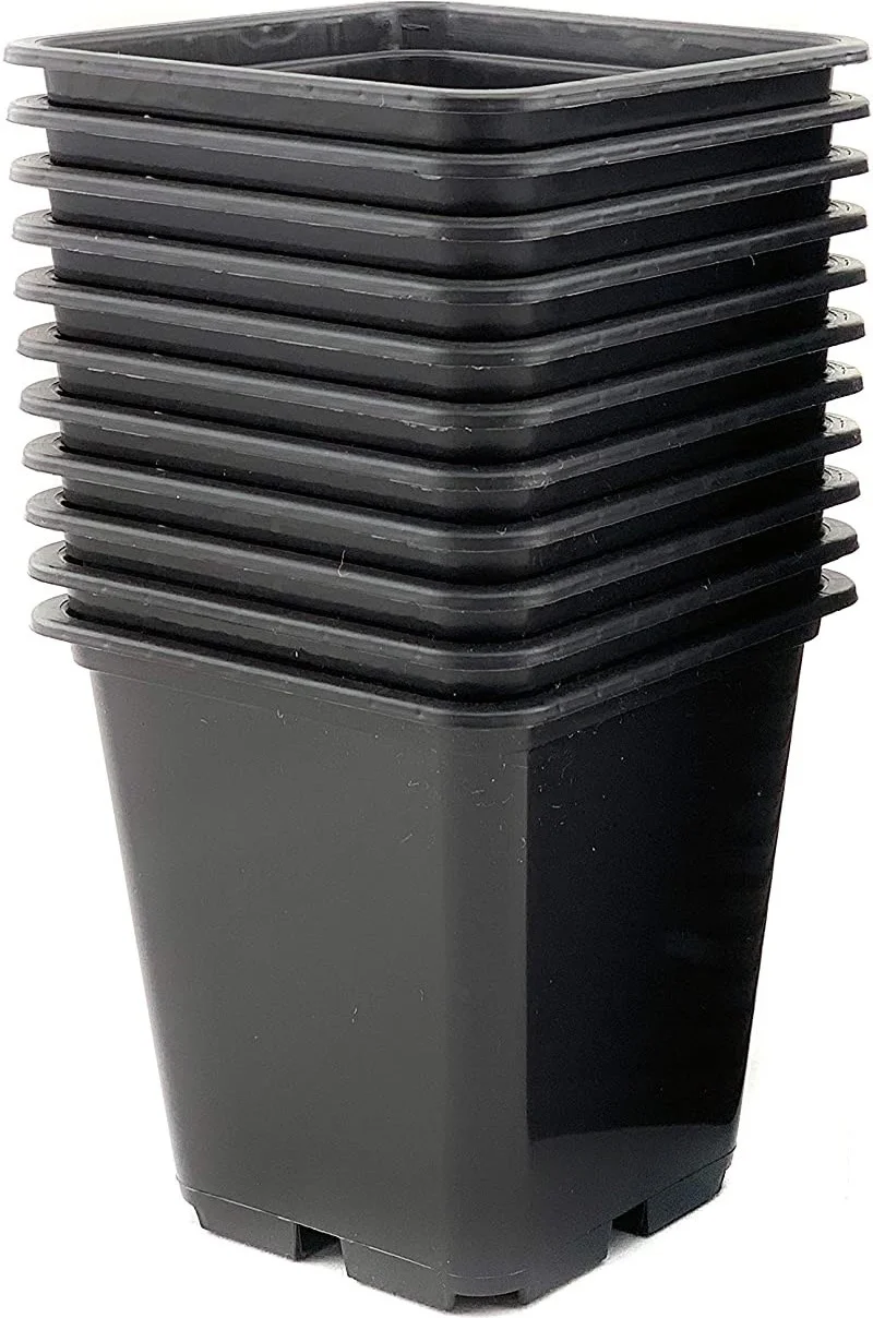 Intratuin kweekpot vierkant zwart 9 x 9 cm 9 stuks
