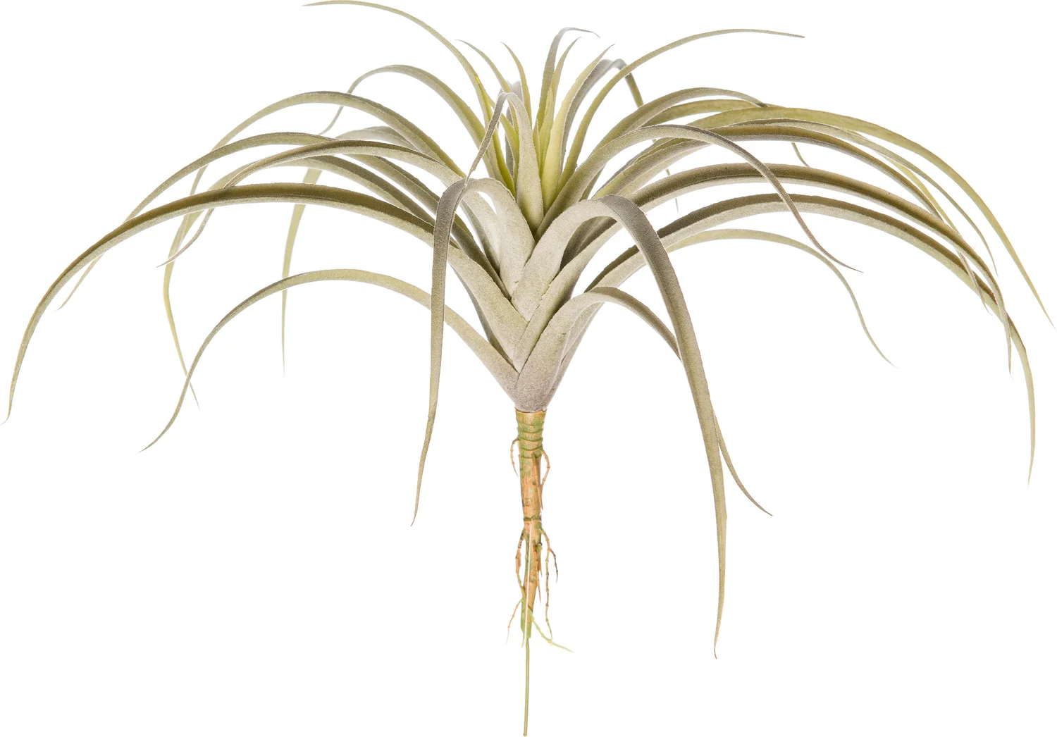 Intratuin kunstplant Tillandsia H 26 cm