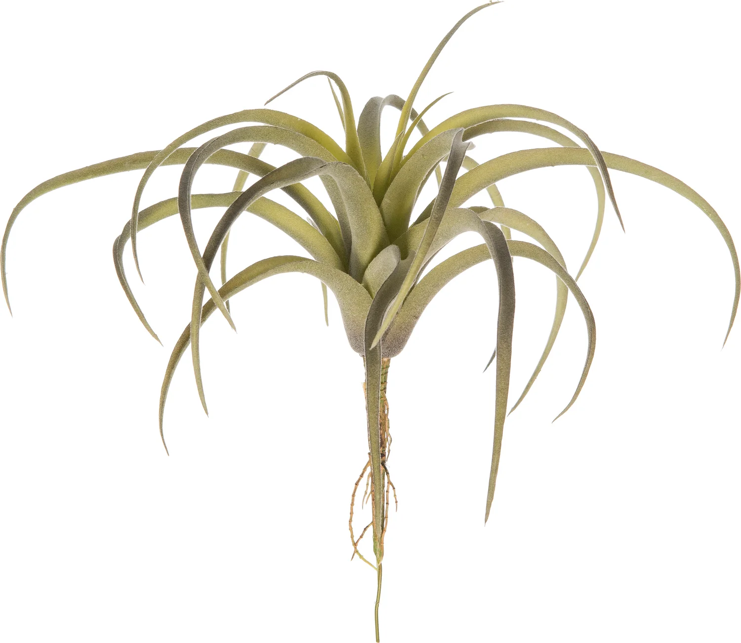 Intratuin kunstplant Tillandsia H 24 cm