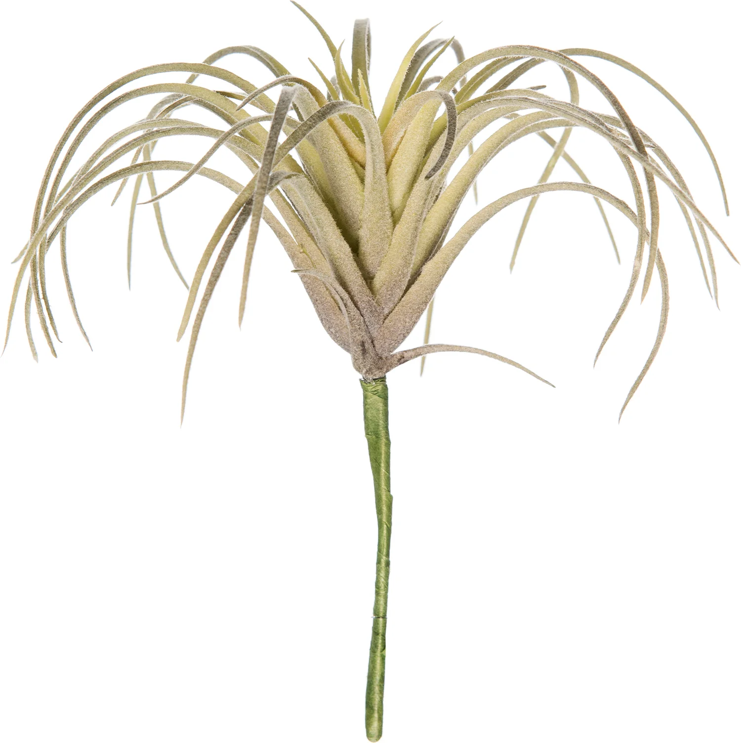 Intratuin kunstplant Tillandsia H 11 cm