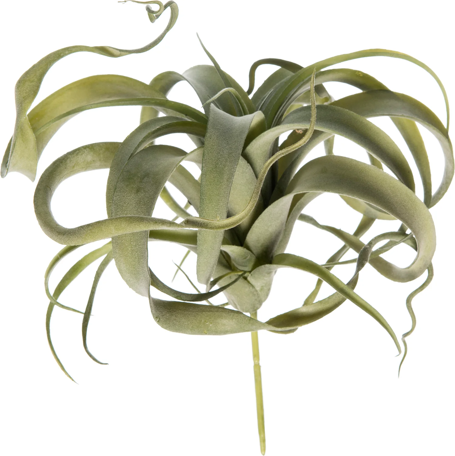 Intratuin kunstplant Tillandsia groot H 26 cm