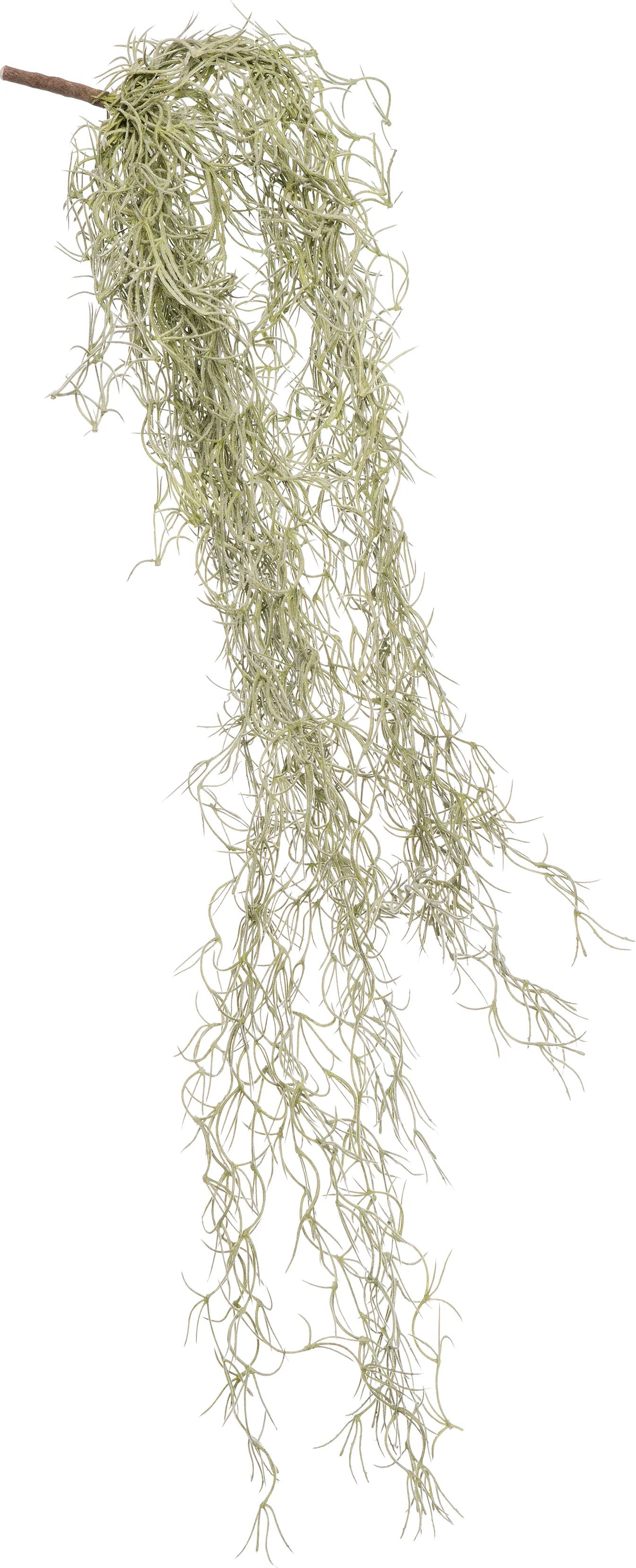 Intratuin kunsttak Tillandsia mos grijs 74 cm