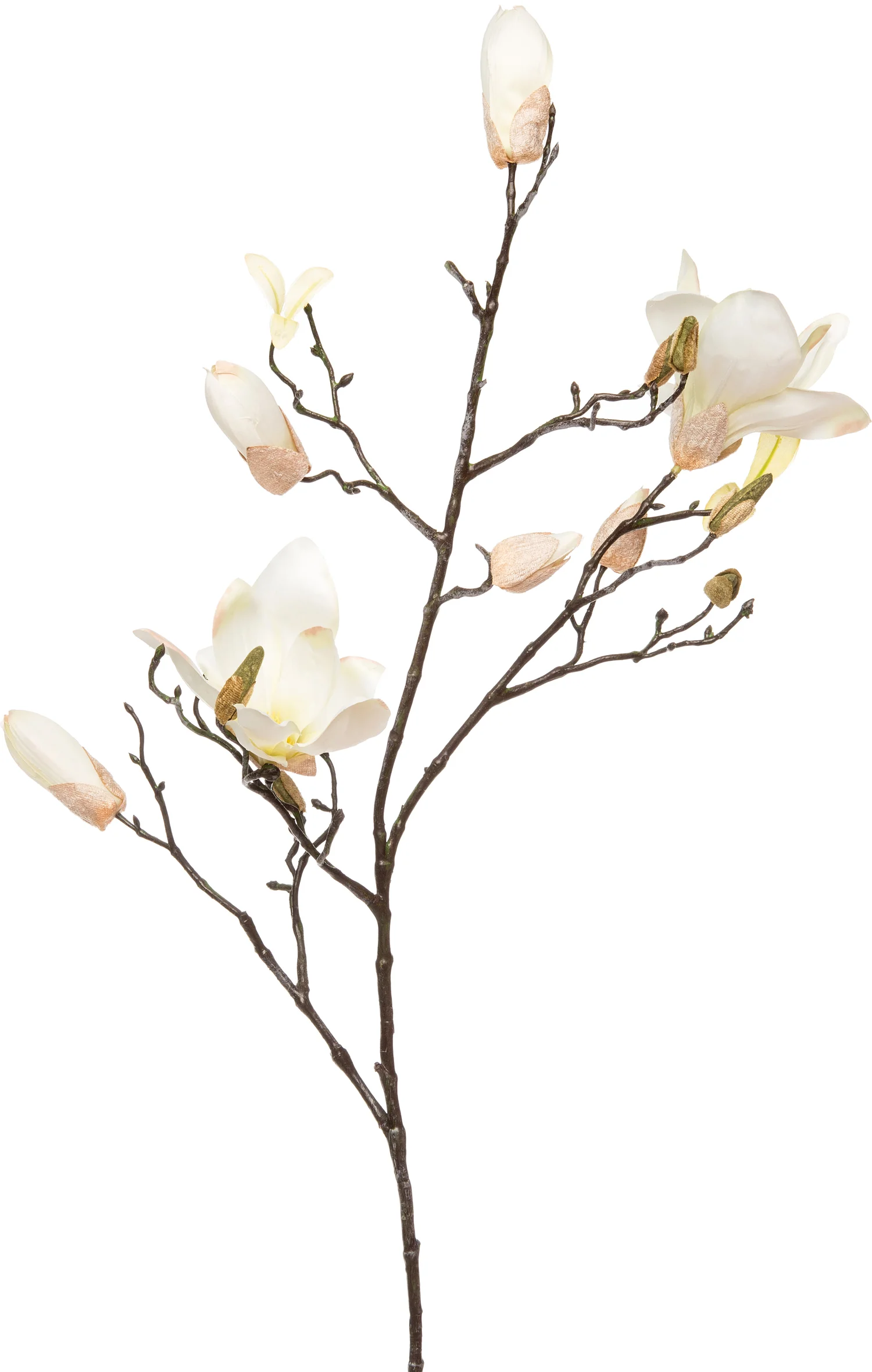 Intratuin kunsttak Magnolia wit 95 cm