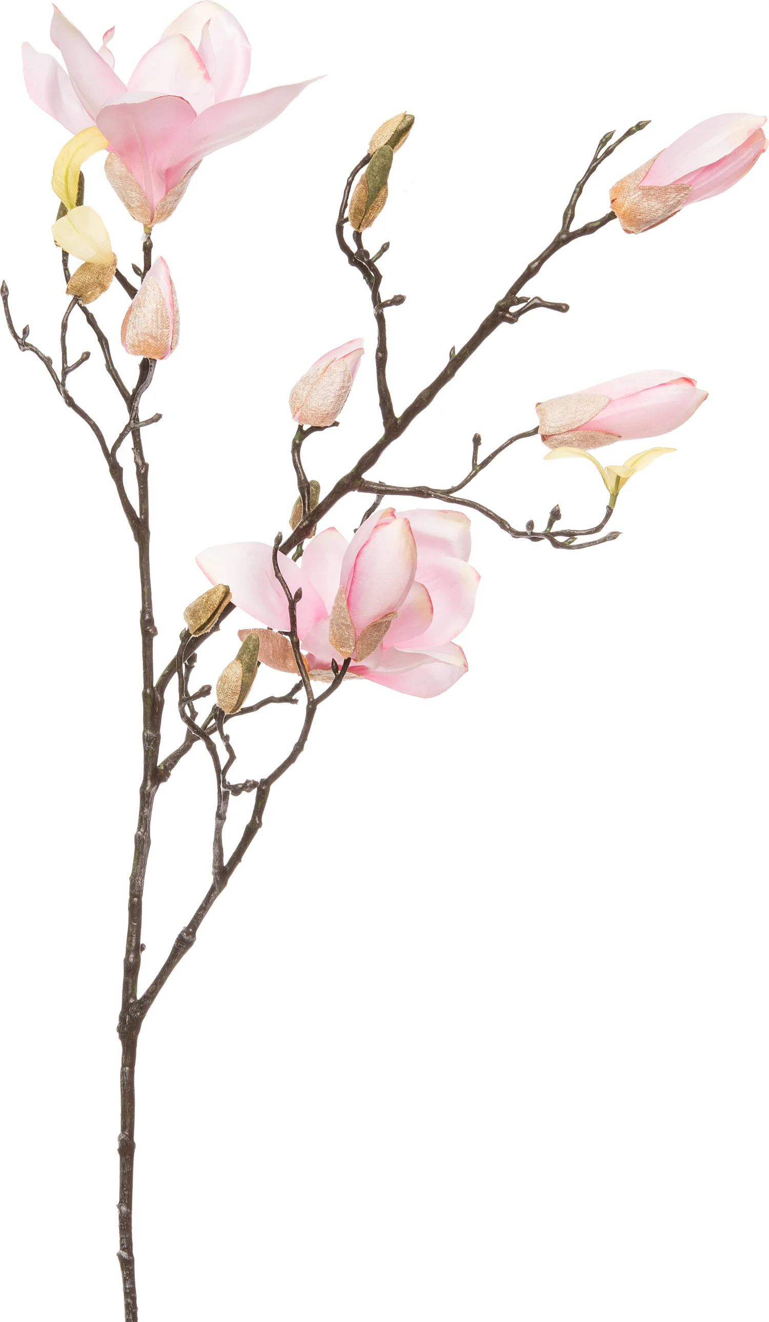 Intratuin kunsttak Magnolia roze 95 cm