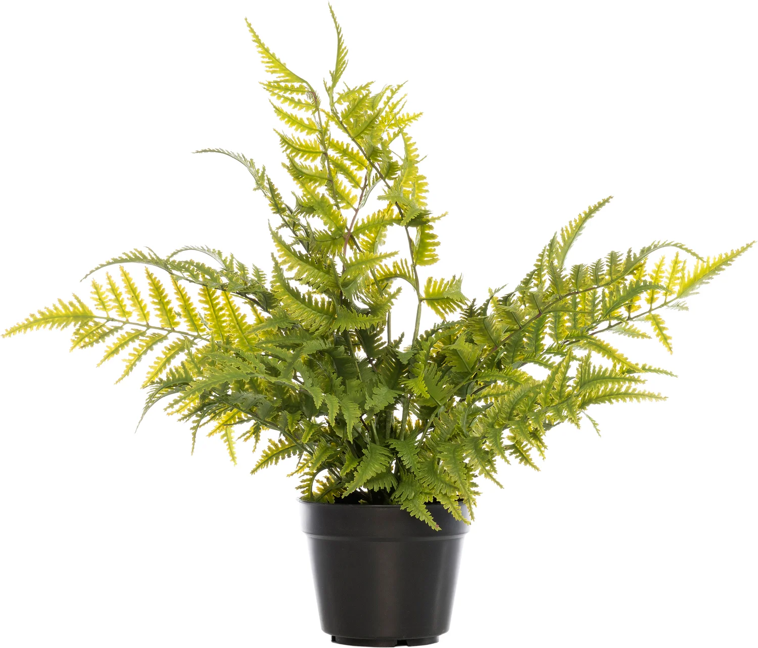 Intratuin kunstplant varen D 14 H 56 cm