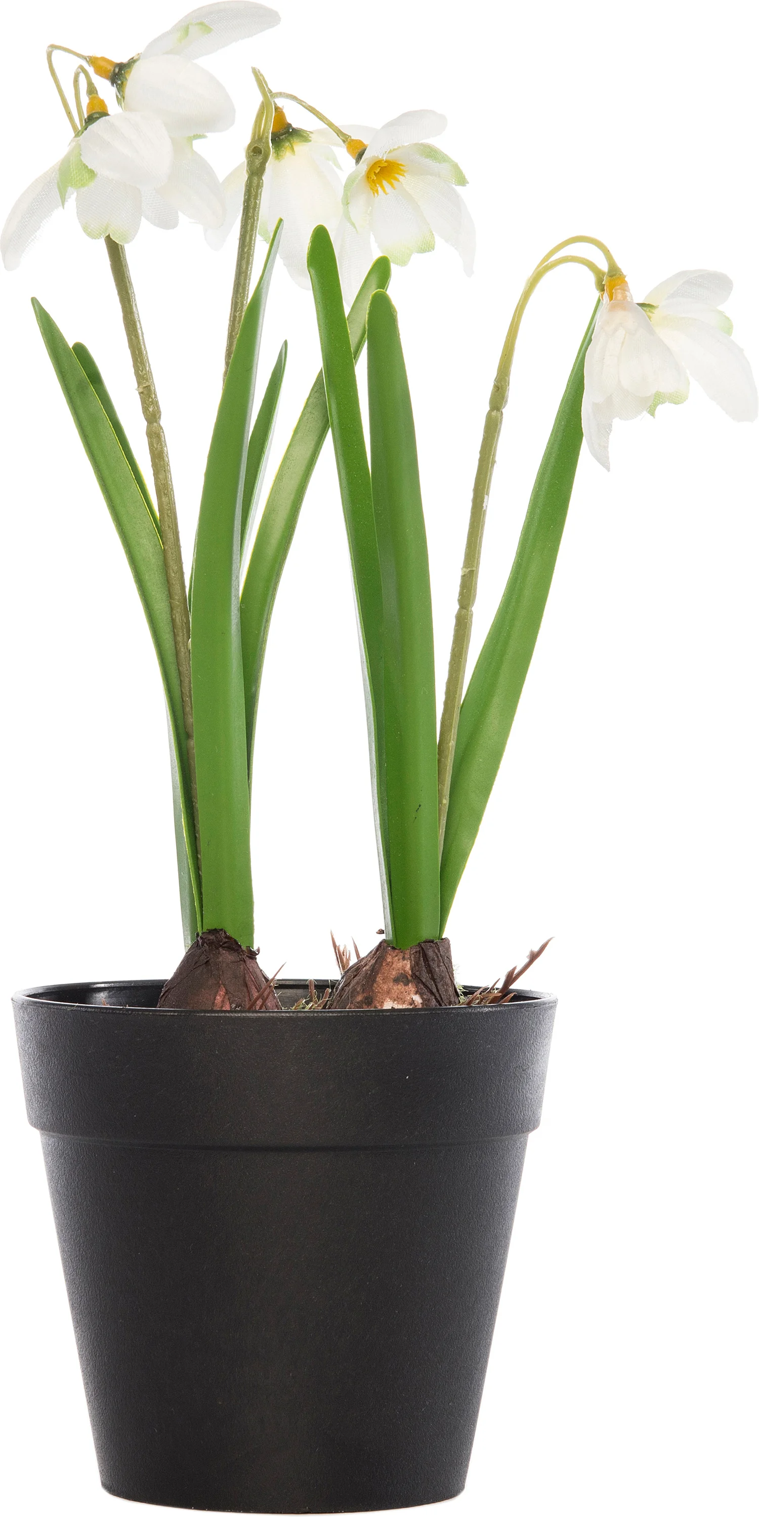 Intratuin kunstplant Sneeuwklokje wit H 28 cm