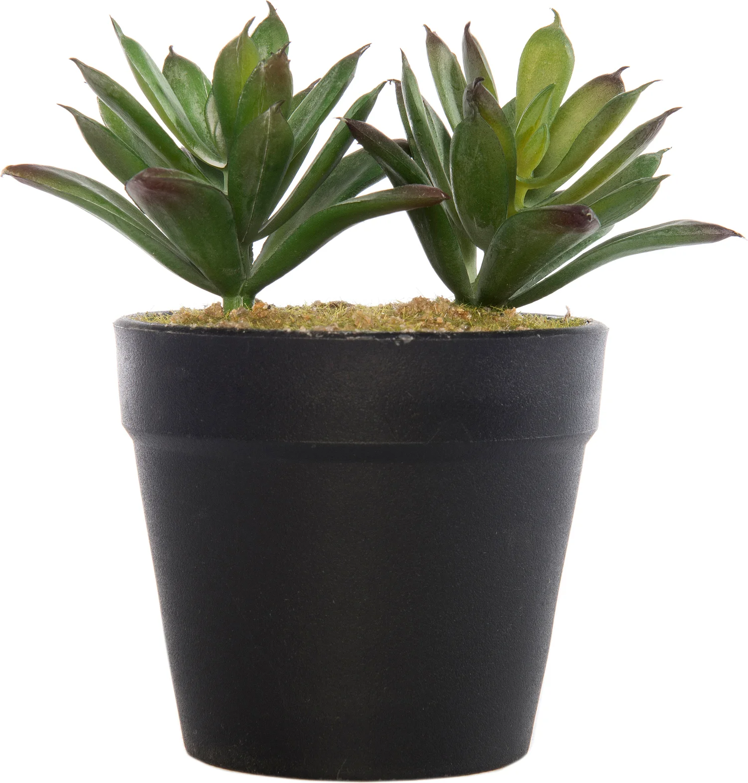 Intratuin kunstplant vetplant D 9 H 12 cm