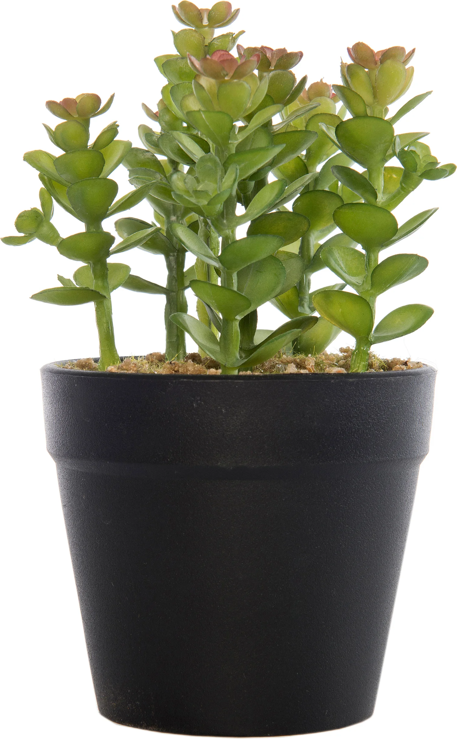 Intratuin kunstplant vetplant D 9 H 14 cm