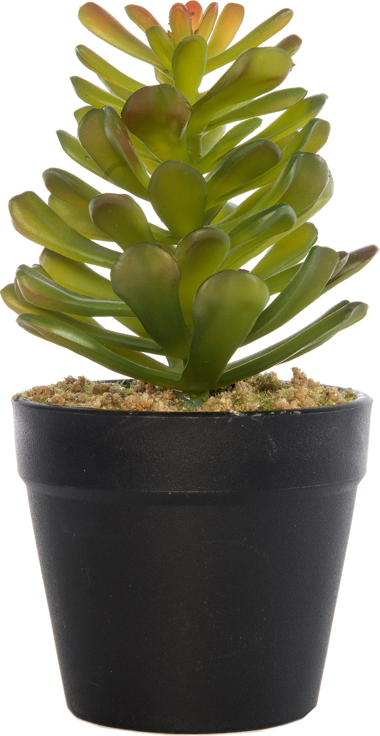 Intratuin kunstplant vetplant D 9 H 16 cm