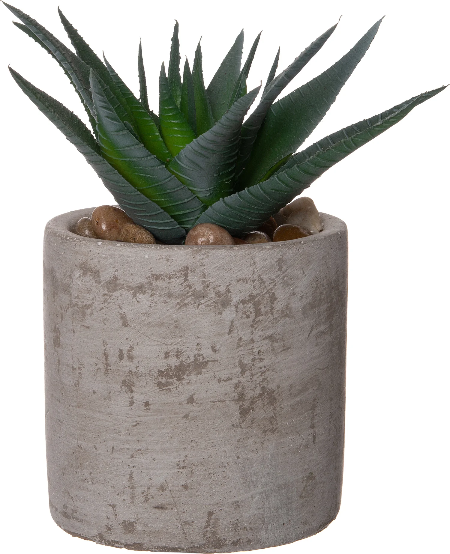 Intratuin kunstplant Haworthia D 8 H 15 cm