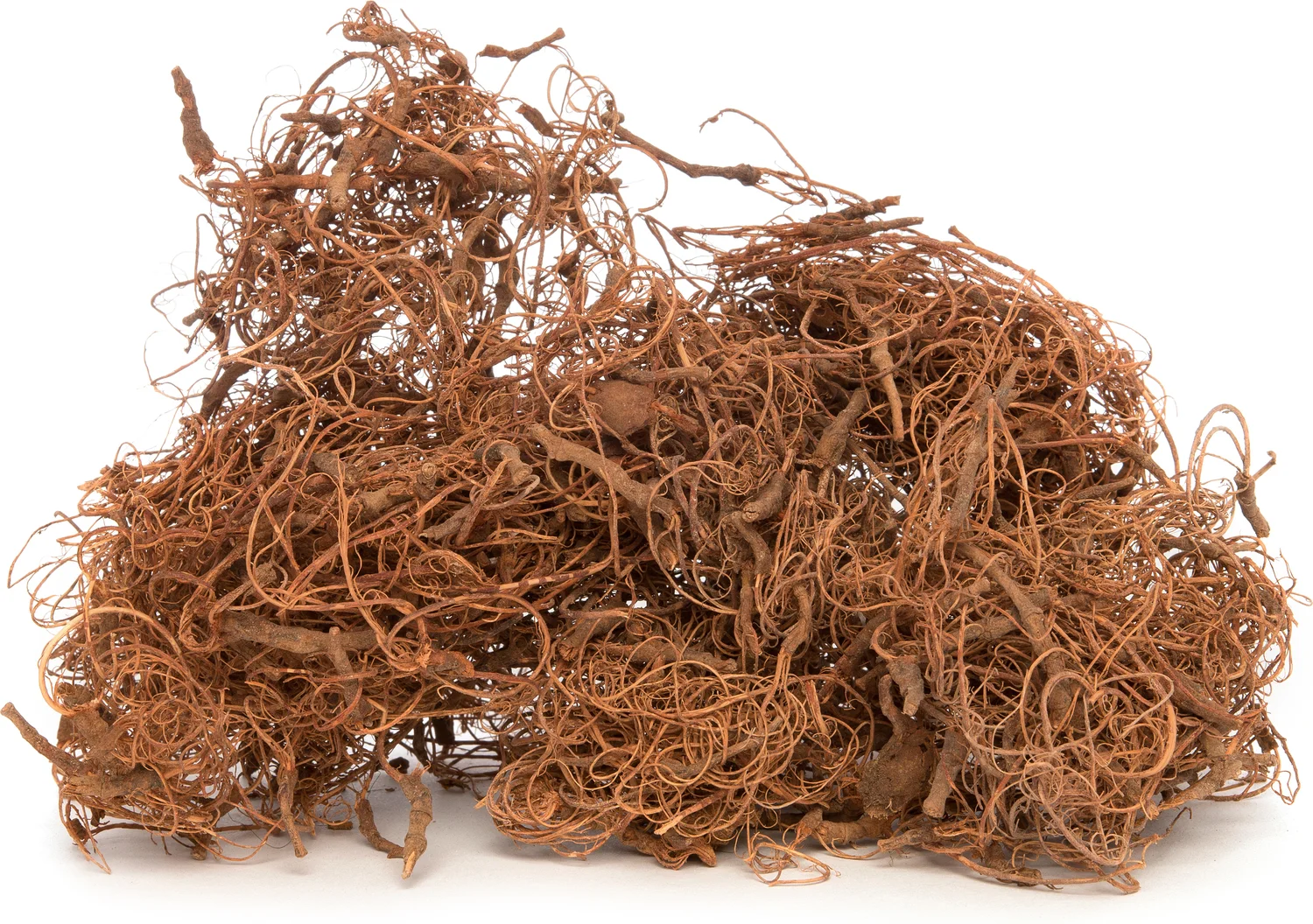 Intratuin decoratie krullend mos naturel 200 g 8 x 0,2 x 8 cm
