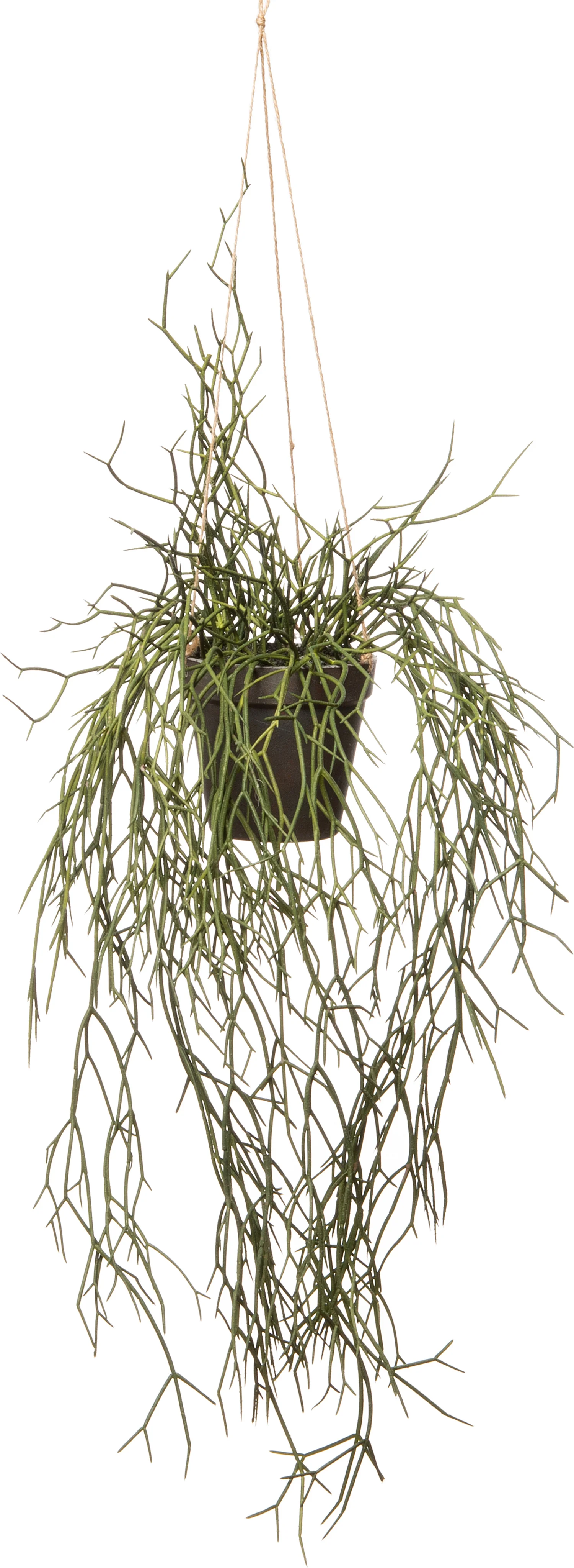 Intratuin kunsthangplant rotskoraal 28 x 28 x 55 cm