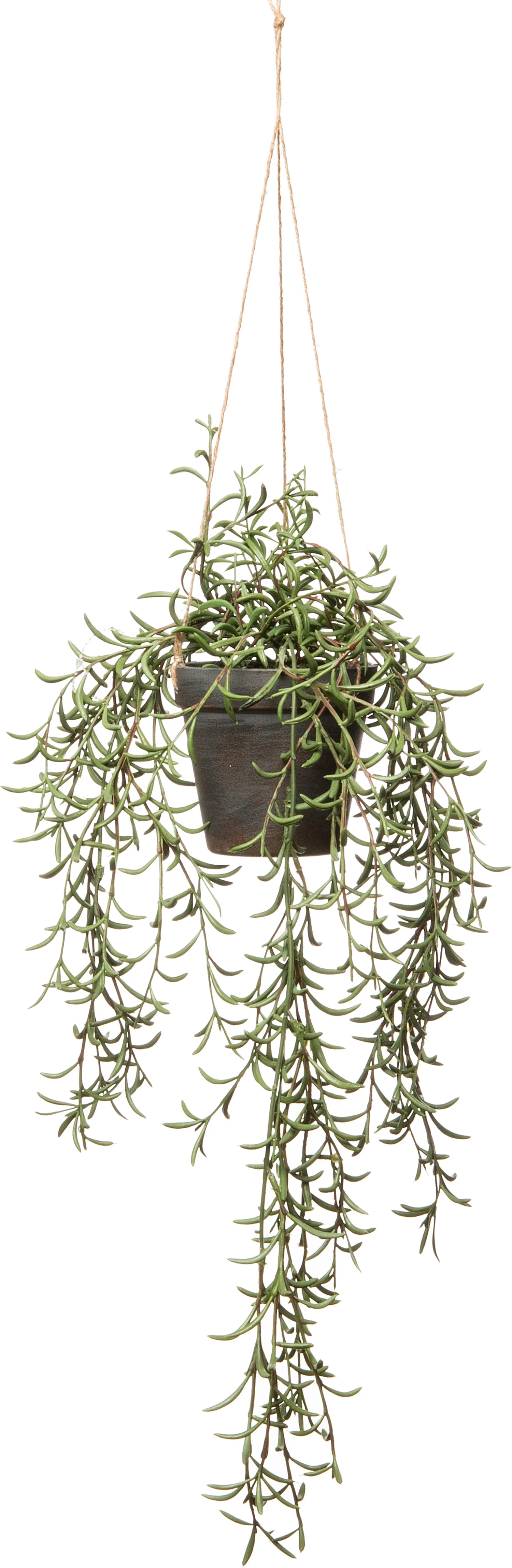 Intratuin kunsthangplant rozemarijn 12 x 12 x 55 cm