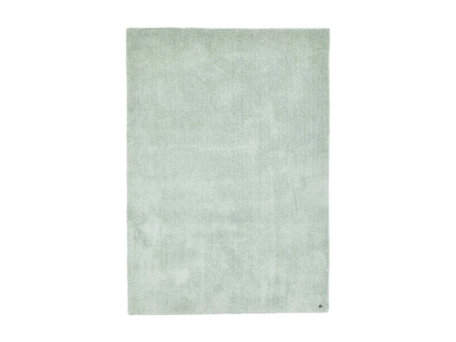 Handgetuft shaggy tapijt 65x135 cm munt Cozy