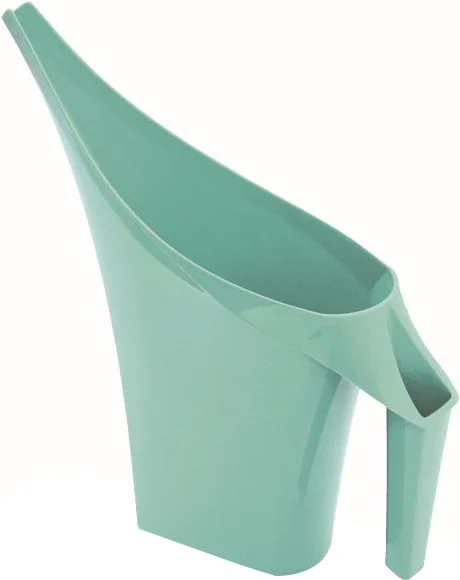 Intratuin gieter groen 2 L