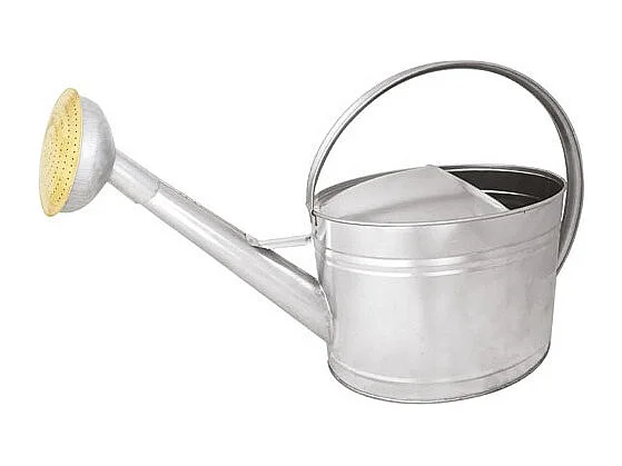 Guillouard gieter van verzinkt staal 10L met metalen sproeikop en messing rooster, robuust en ergonomisch, 5 jaar garantie