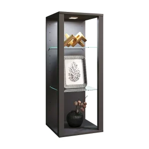Glazen wandvitrine wandplank Glasol MW Glazen wandvitrine wandplank Glasol MW