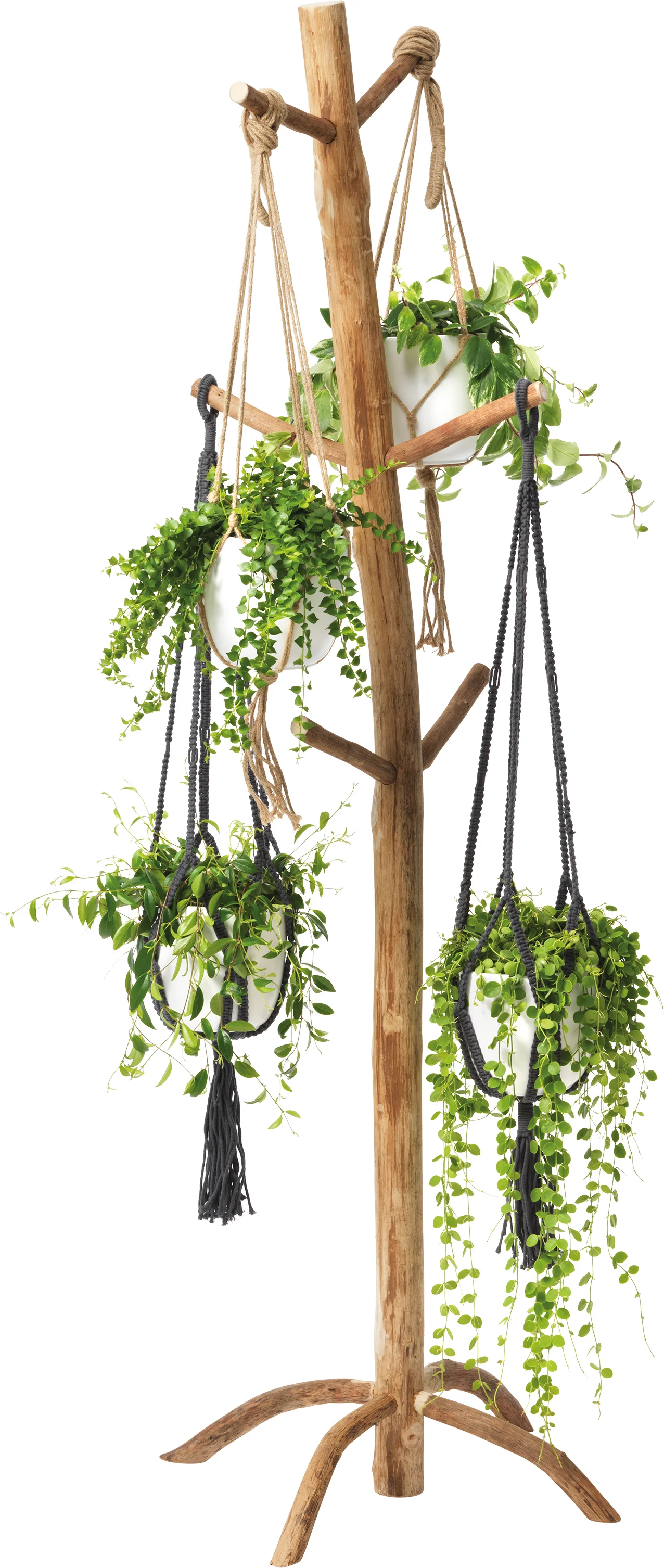 Kapstok voor hangplanten naturel 42 x 53 x 183 cm
