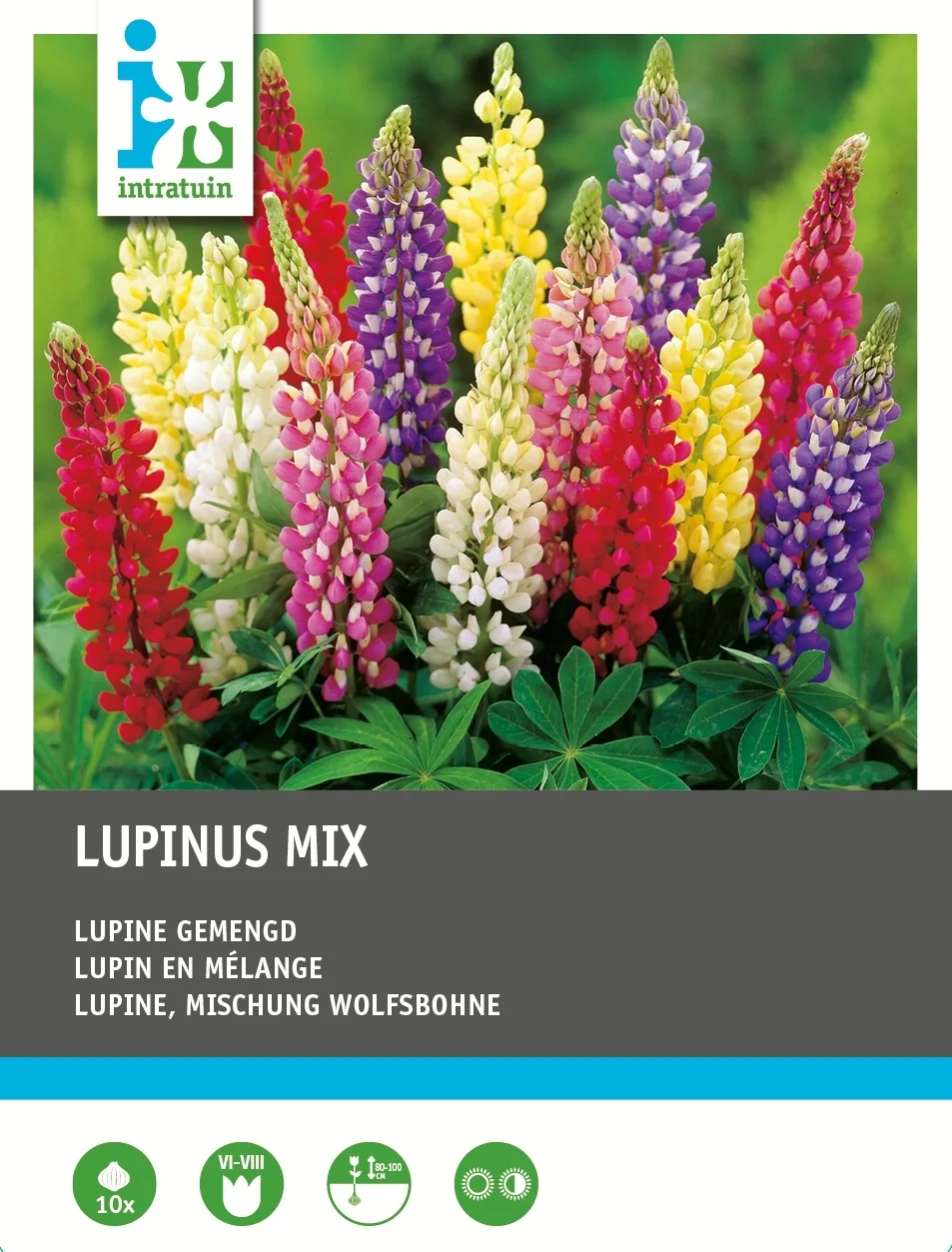 Intratuin Lupine (Lupinus) mix 10 stuks