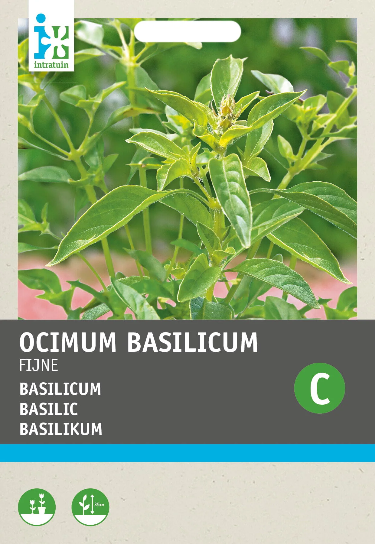 Intratuin kruidenzaad Basilicum fijne (Ocimum basilicum)