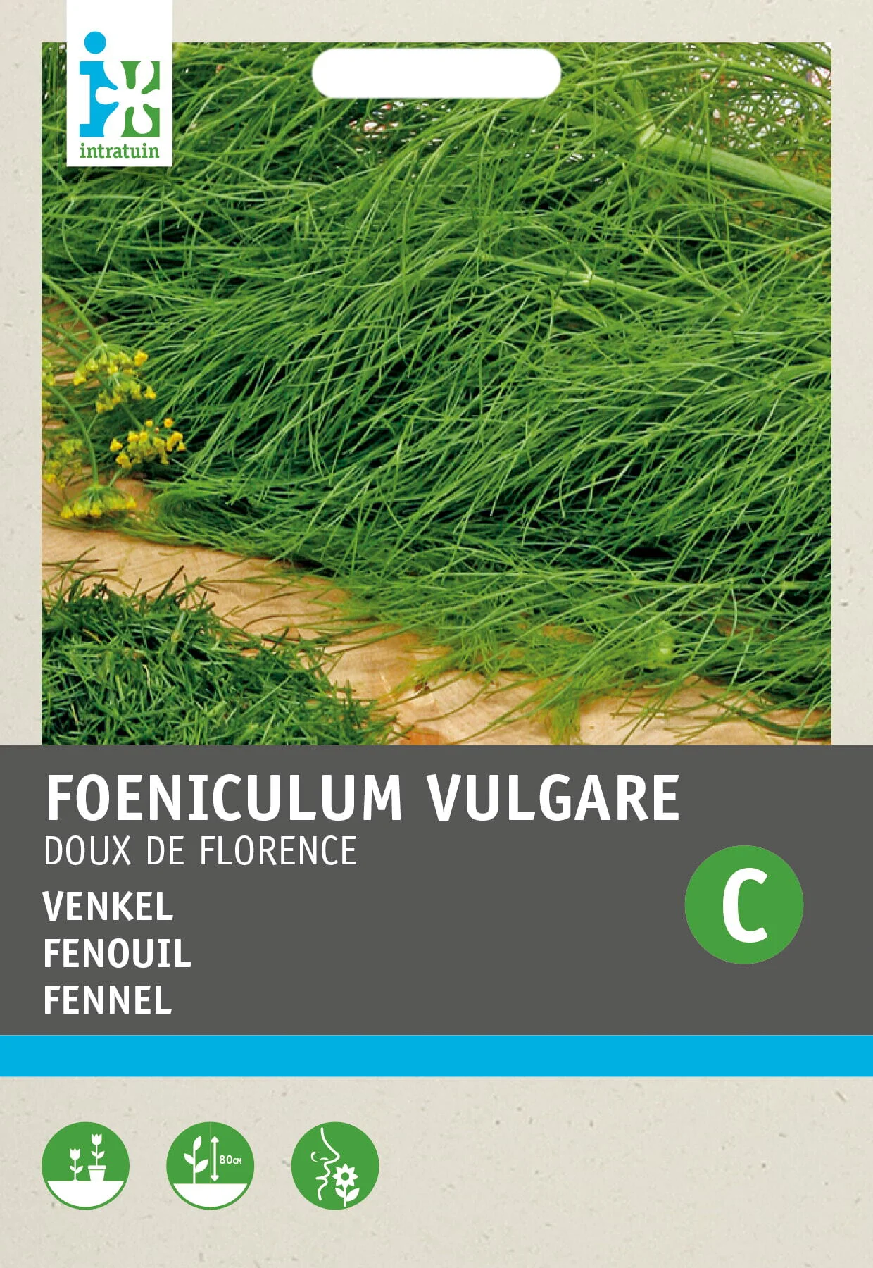Intratuin groentezaad Venkel (Foeniculum vulgare)