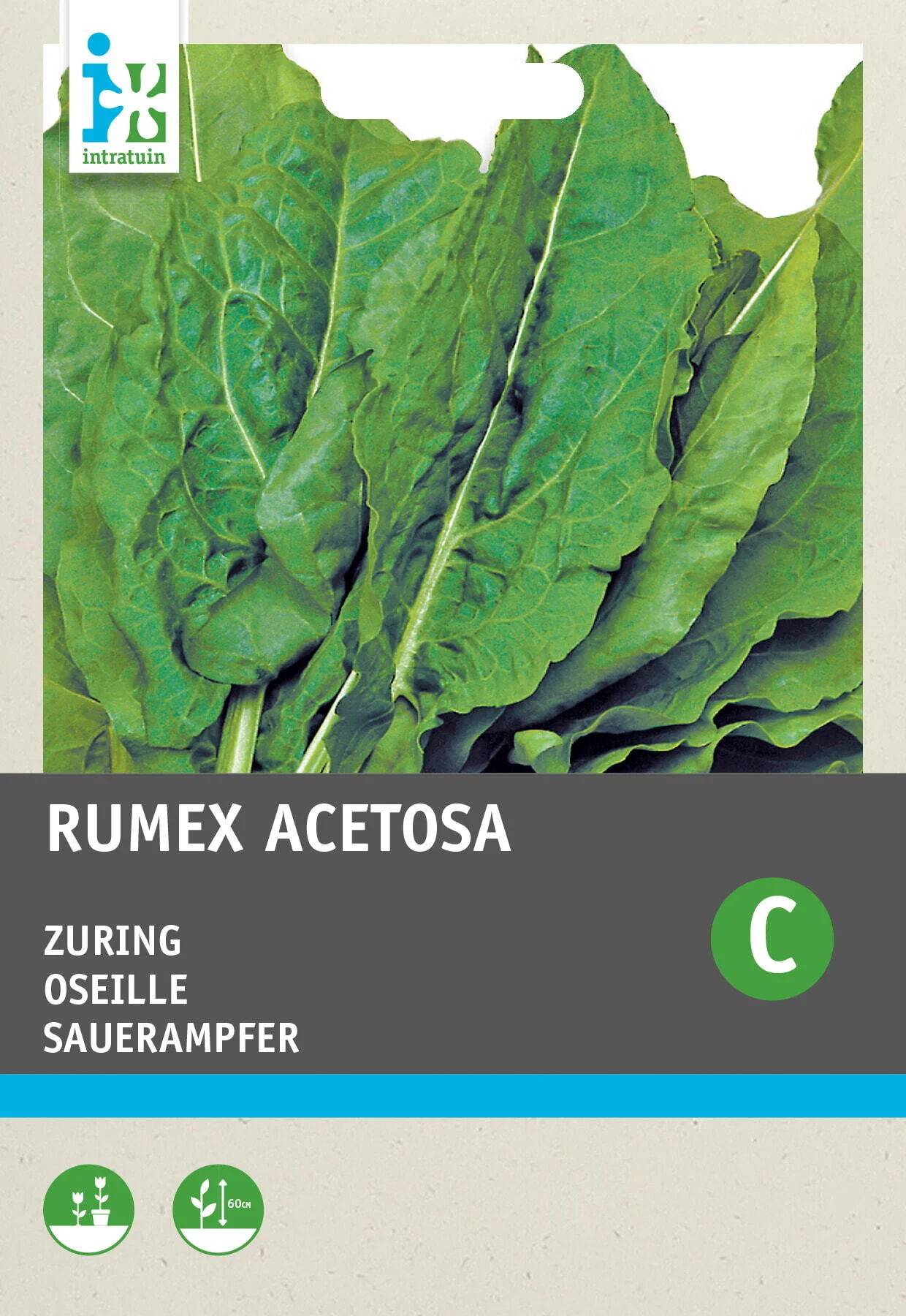 Intratuin groentezaad Zuring (Rumex acetosa)