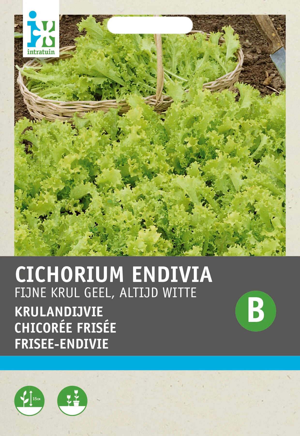 Intratuin groentezaad Snijandijvie (Cichorium endivia 'Altijd witte')