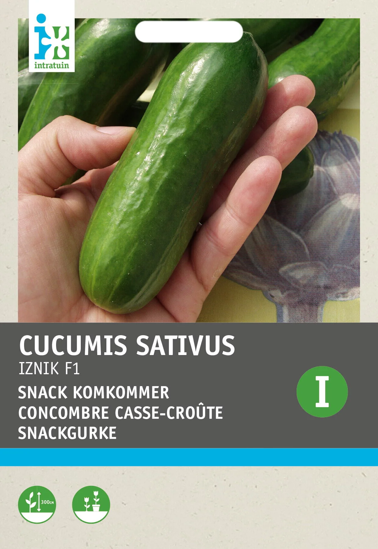 Intratuin groentezaad Snack komkommer (Cucumus sativus 'Snack Iznik F1')