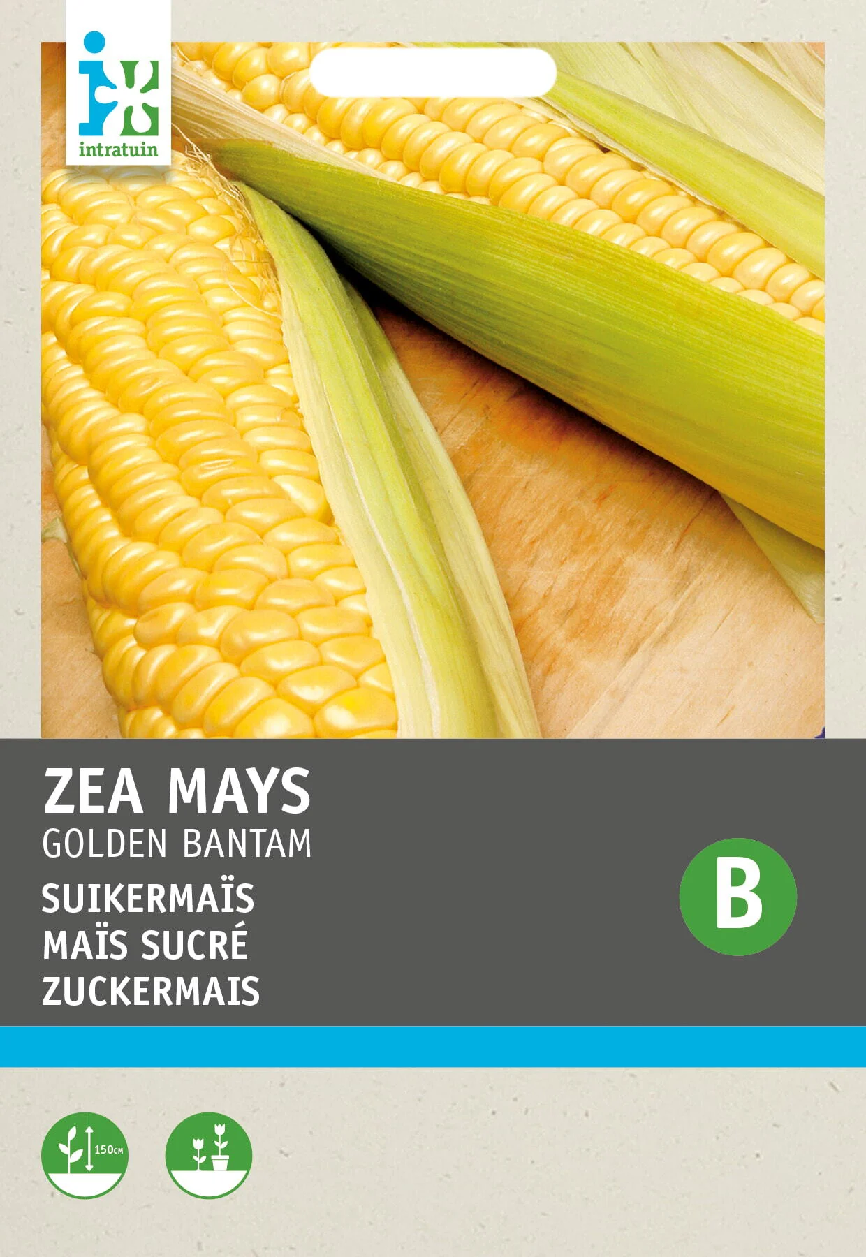 Intratuin groentezaad Suikermaïs (Zea mays 'Golden Bantam')