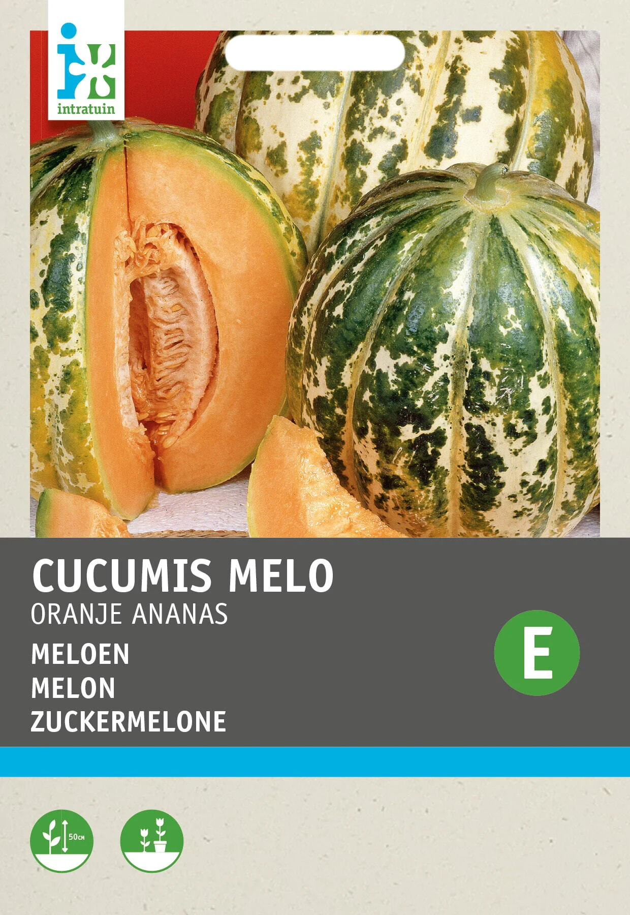 Intratuin fruitzaad Meloen (Cucumis melo 'Oranje Ananas')