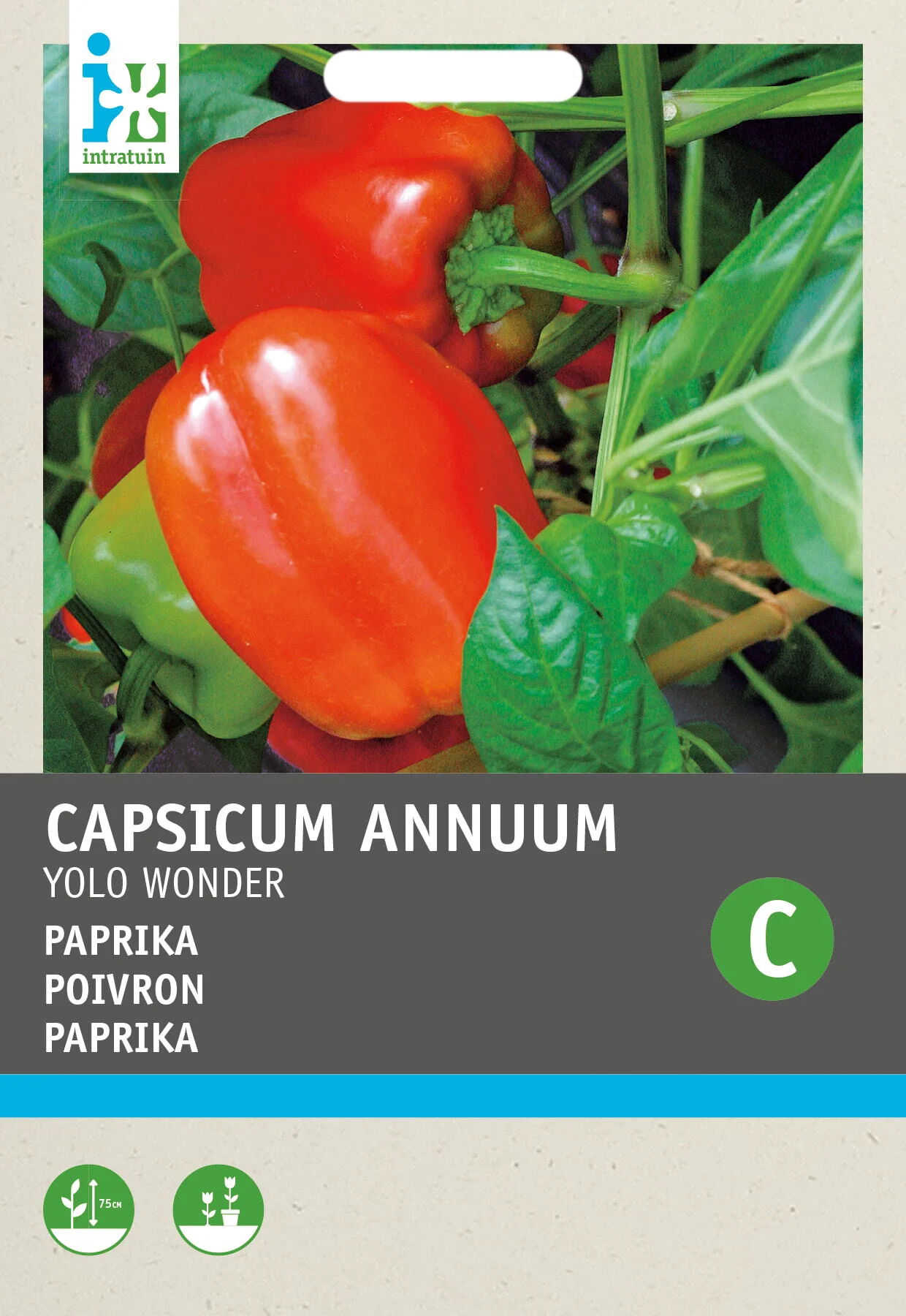 Intratuin groentezaad Paprika (Capsicum annuum 'Yolo Wonder')