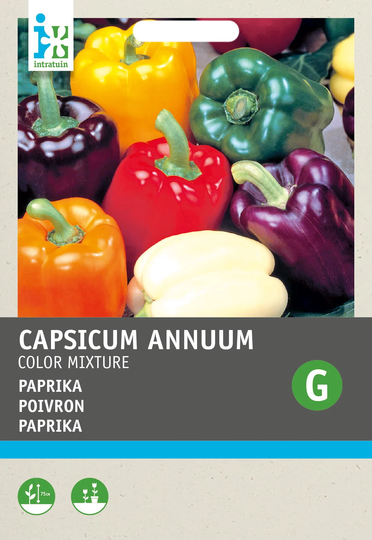 Intratuin groentezaad Paprika 5 kleurenmengsel (Capsicum annuum)